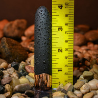 Standard Bullet Vibrator