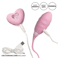 Amour Egg Vibrator + Remote