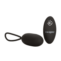 Remote Egg Vibrator