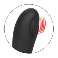 Pulsing Remote Butt Plug