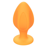 Cheeky Butt Plug Kit