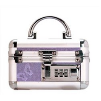 Lockable Vibrator Case  Mini