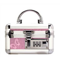 Lockable Vibrator Case  Mini