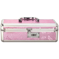 Small Sex Toy Storage Box