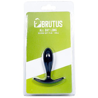 Small All Day Long Butt Plug