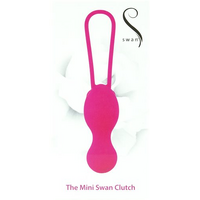 Swan Vibes The Mini Swan Clutch 2