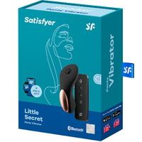 Little Secret Panty Vibrator