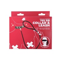 Punishment Rose Gold Yes Sir Collar and Leash