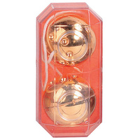 Gold Plastic Kegel Balls