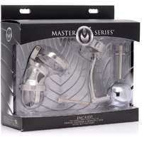 Encased Extreme Chastity Cage
