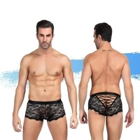 Ashella Lingerie Mica Boxer Brief S/M
