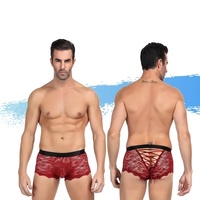 Ashella Lingerie Mica Boxer Brief L/XL