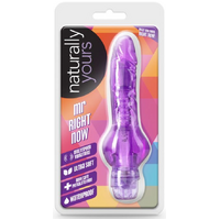Mr. Right Now Classic Vibrator