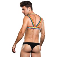 Rainbow Harness Lxl