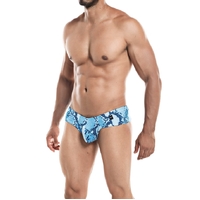 High Cut Cheeky Brief S