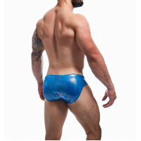 Emerald Swimwear Brief XL