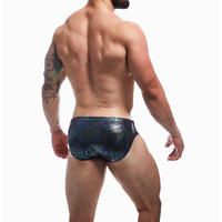 Emerald Swimwear Brief XL