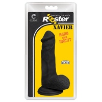 Rooster Xavier - Midnight