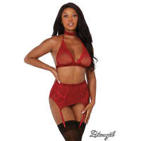 Bra Garterbelt/G String OS