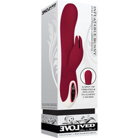 8.5" Inflatable Rabbit Vibrator