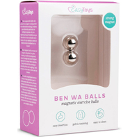 Magnetic Balls 12mm Silver Magnetic Balls 12mm Silver