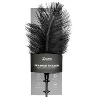 Feather Tickler