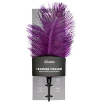 Feather Tickler