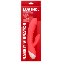 Rv20 Rabbit Vibrator