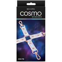 Rainbow Shimmer Hogtie