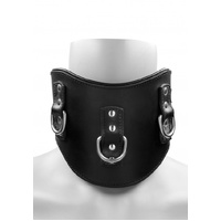Heavy Duty Padded Posture Collar