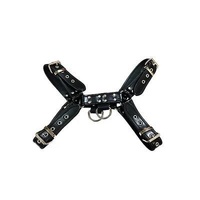 Leather Harness