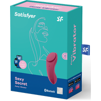 Sexy Secret Panty Vibrator