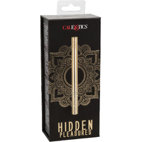 Hidden Pleasures Bullet Vibrator