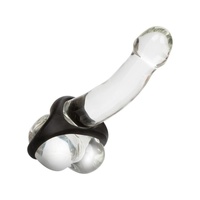 Peak Magnified Gauged Pump System