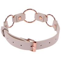 Sex and Mischief Peaches n CreaMe Ring Day Collar