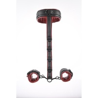 Saffron Neck And Wrist Restraint