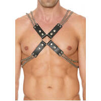 Chain And Chain Harness
