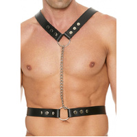 Twisted Bit Leather Harness