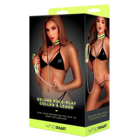 Glowing Role Play Collar + Leash