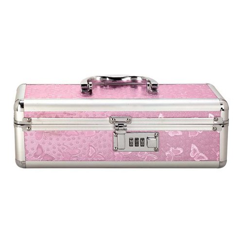 Small Sex Toy Storage Box