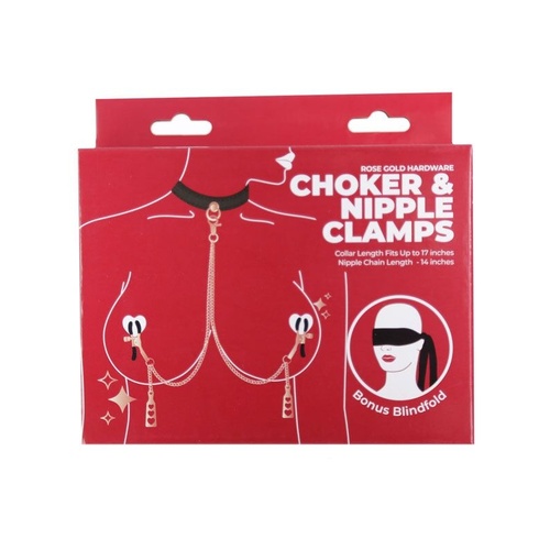 Punishment Rose Gold Choker and Nipple Clamps