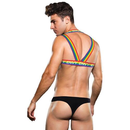 Rainbow Harness M/L