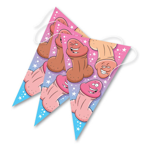 BACHELORETTE PARTY BANNER