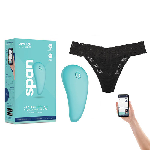 Span Panty Vibrator Kit