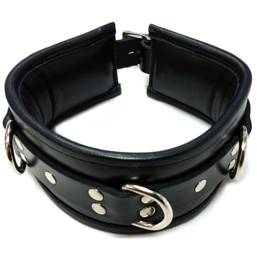 Padded Leather Collar