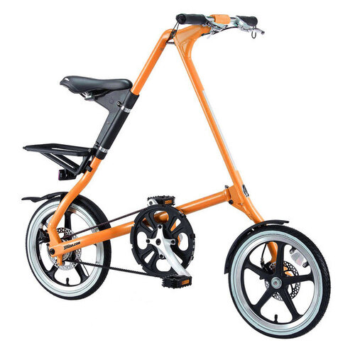 LT (Sunkist) 16"
