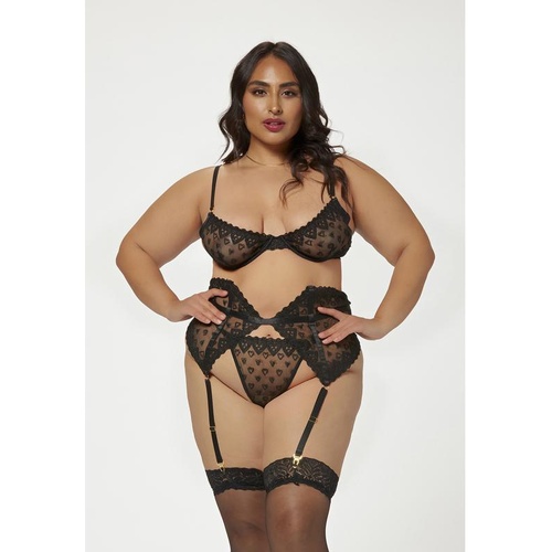 Three Piece Bra/Garter Belt/Thong Set 3X/4X