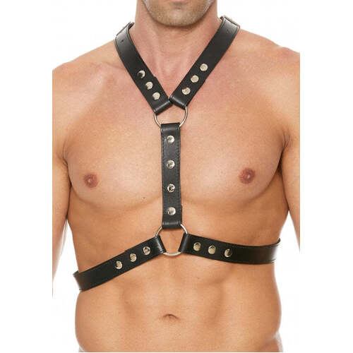 Harness With Metal Spots