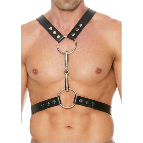 Harness With Metal Bit