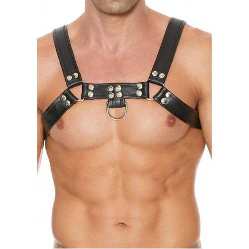 Chest Bulldog Harness S/M